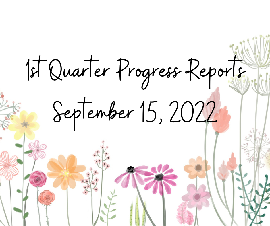 1st Quarter Progress Reports